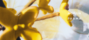 Acqua di Parma _ Signature